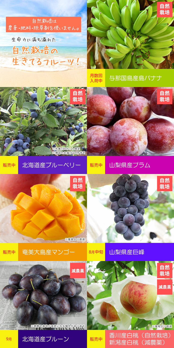 無農薬・無肥料 無除草剤。生命力に満ち溢れた自然栽培の生きてるフルーツ!