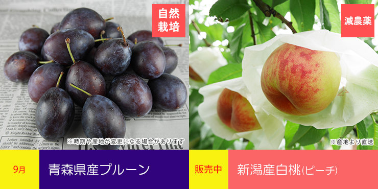 無農薬に挑戦する農家さんを応援。減農薬のオイシイ桃をお届けします!