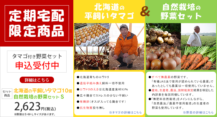 定期宅配 限定商品 タマゴ付き 野菜セット