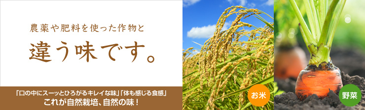自然栽培野菜・無農薬野菜「これが自然栽培、自然の味!」