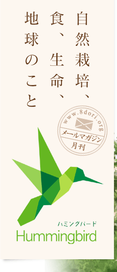 ハミングバード メルマガ登録