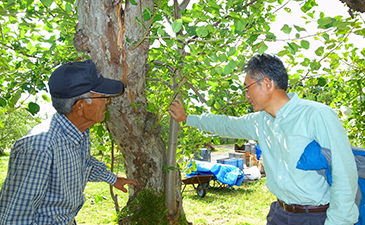 名人、木村秋則さんから指導を受ける夏堀さん