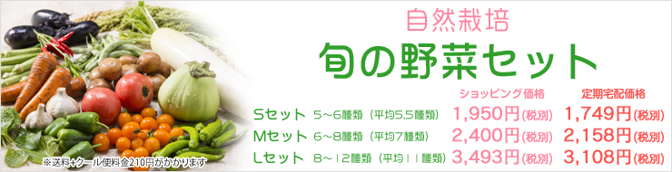 旬の野菜セット