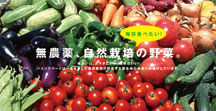 ハミングバードの「旬の野菜セット」は、すべて無農薬。