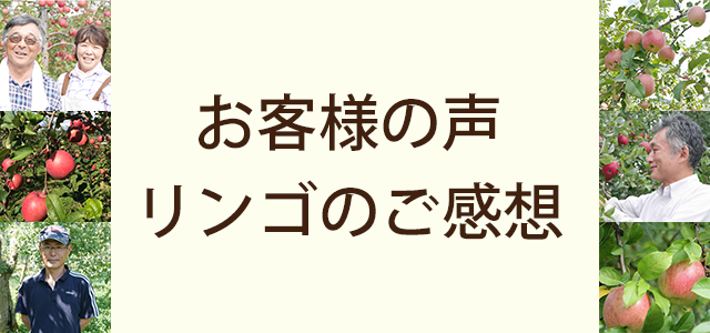 お客様の声紹介