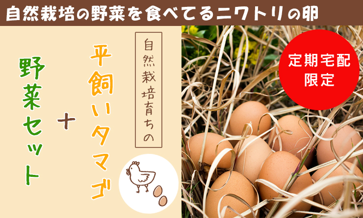 自然栽培育ちの平飼いタマゴ+野菜セット